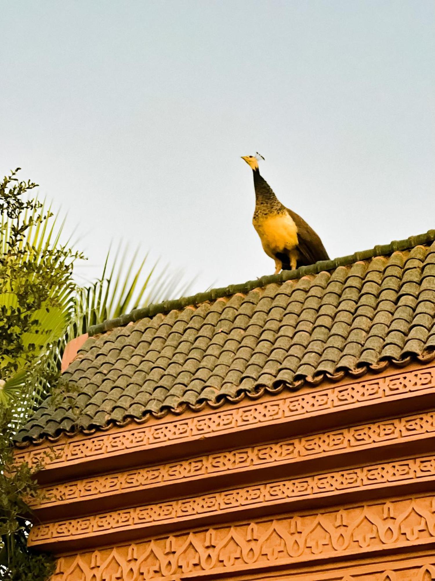 Guest House Qodwa Sidi Abdallah Ghiat Exterior photo